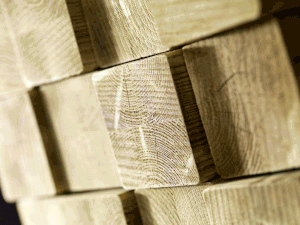 ABC DEL LEGNO profili
